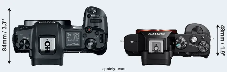 Compare Canon R versus A7R top