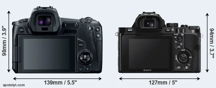 Comparison Canon R or A7S rear