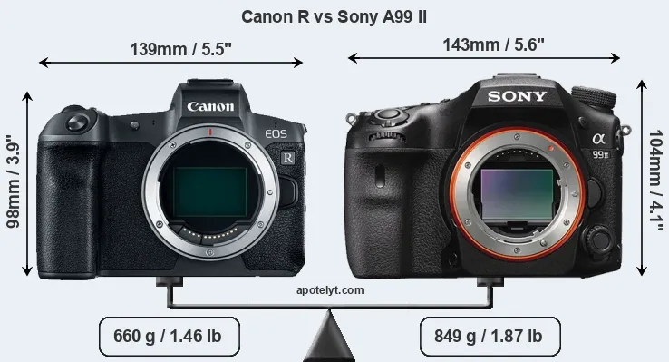 Size Canon R vs Sony A99 II
