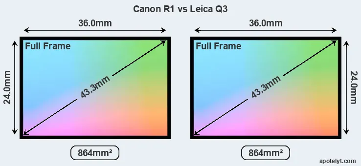 Canon R1 and Leica Q3 sensor measures