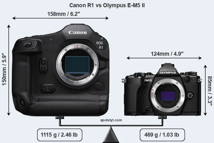 Size Canon R1 vs Olympus E-M5 II