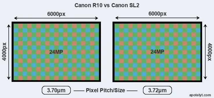 R10 versus SL2 MP