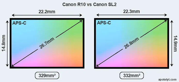 Canon R10 and Canon SL2 sensor measures