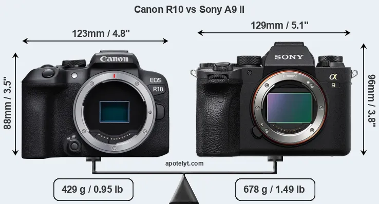 Size Canon R10 vs Sony A9 II