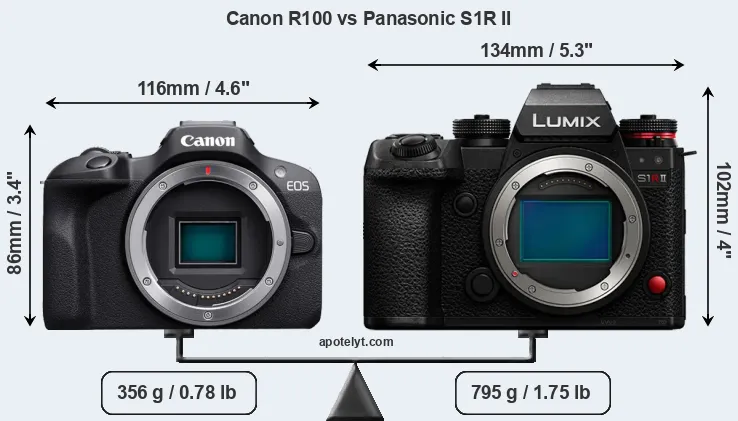 Size Canon R100 vs Panasonic S1R II