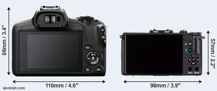 Comparison R100 or Pentax Q rear