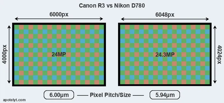 R3 versus D780 MP