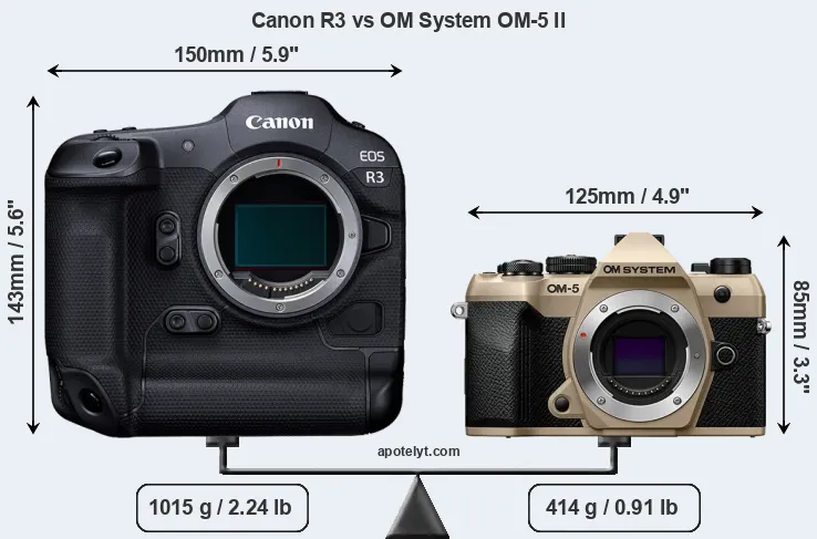 Size Canon R3 vs OM System OM-5 II