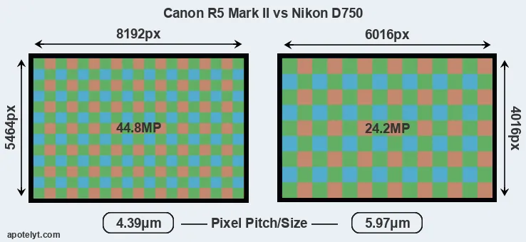 R5 Mark II versus D750 MP