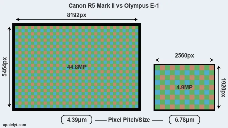 R5 Mark II versus E-1 MP