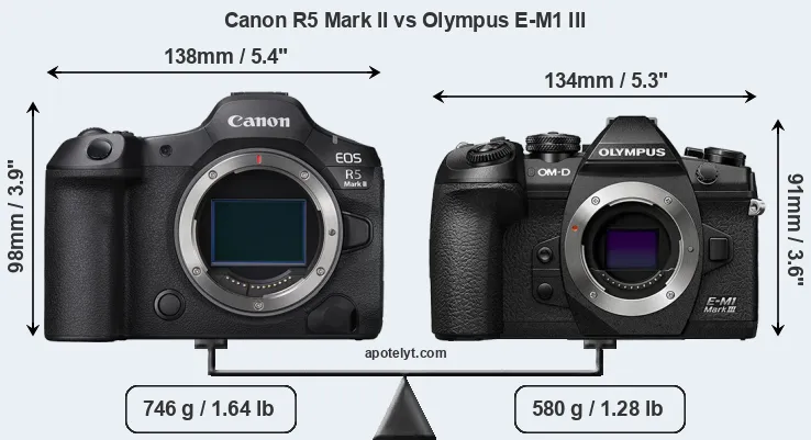 Size Canon R5 Mark II vs Olympus E-M1 III