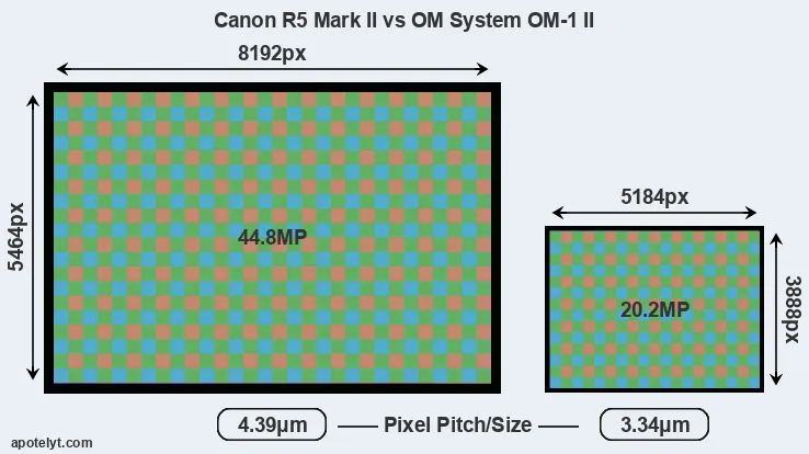 R5 Mark II versus OM-1 II MP
