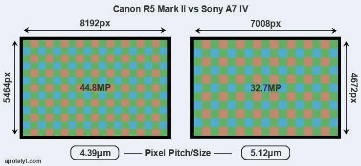 R5 Mark II versus A7 IV MP