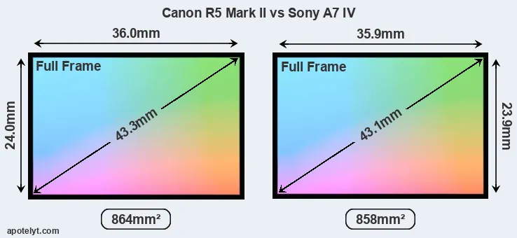 Canon R5 Mark II and Sony A7 IV sensor measures
