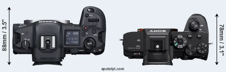 Compare R5 versus A7R IV top