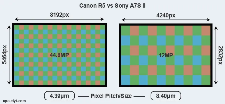 R5 versus A7S II MP