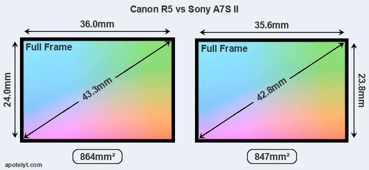 Canon R5 and Sony A7S II sensor measures