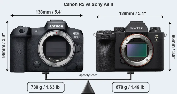 Size Canon R5 vs Sony A9 II