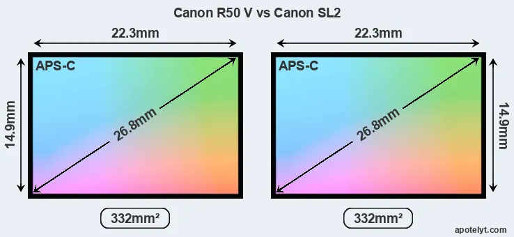 Canon R50 V and Canon SL2 sensor measures