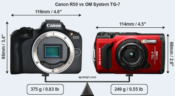 Size Canon R50 vs OM System TG-7
