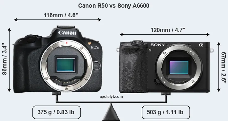 Size Canon R50 vs Sony A6600