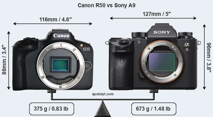 Size Canon R50 vs Sony A9