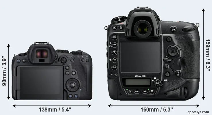 Comparison R6 Mark II or D5 rear