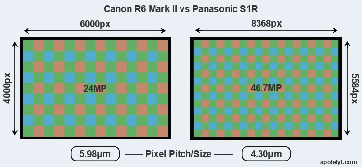 R6 Mark II versus S1R MP