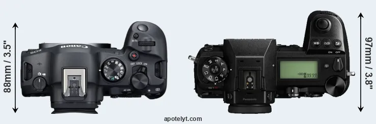 Compare R6 Mark II versus S1R top