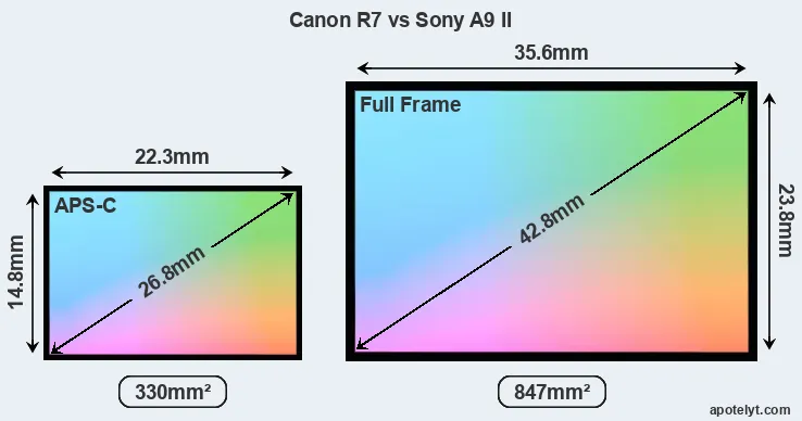 Canon R7 and Sony A9 II sensor measures