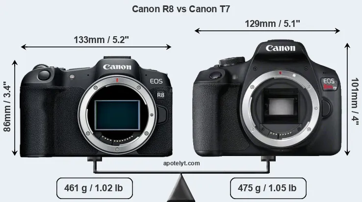 Size Canon R8 vs Canon T7
