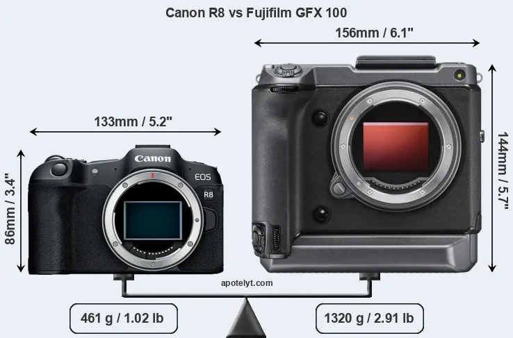 Size Canon R8 vs Fujifilm GFX 100