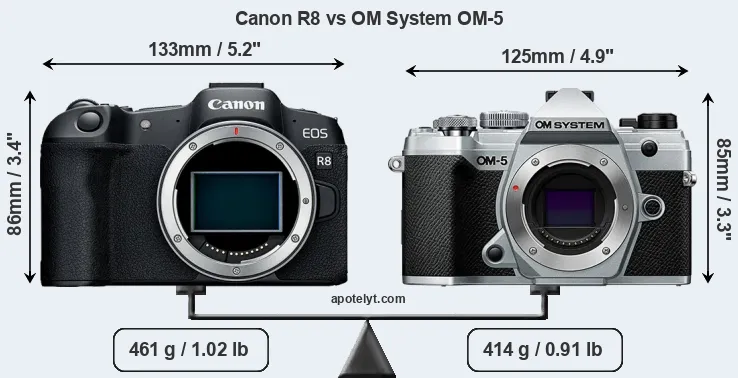 Size Canon R8 vs OM System OM-5