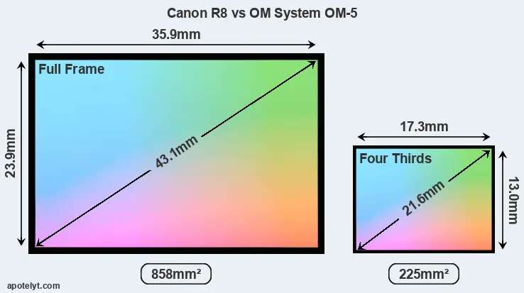 Canon R8 and OM System OM-5 sensor measures