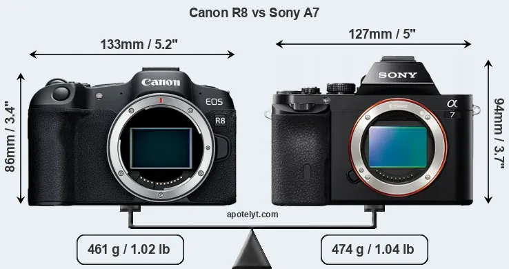 Size Canon R8 vs Sony A7