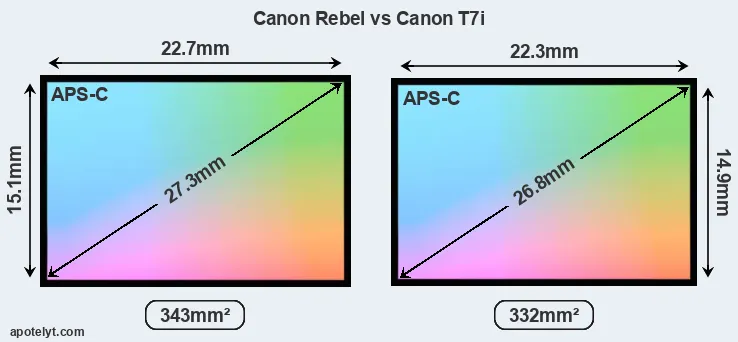 Canon Rebel and Canon T7i sensor measures