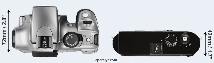 Compare Rebel versus M Typ 262 top