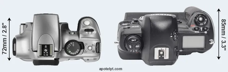 Compare Rebel versus D1X top