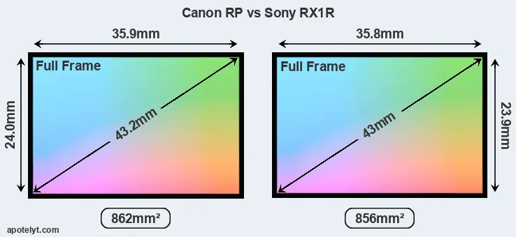 Canon RP and Sony RX1R sensor measures