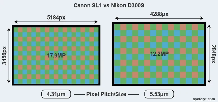 SL1 versus D300S MP