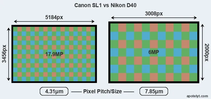 SL1 versus D40 MP