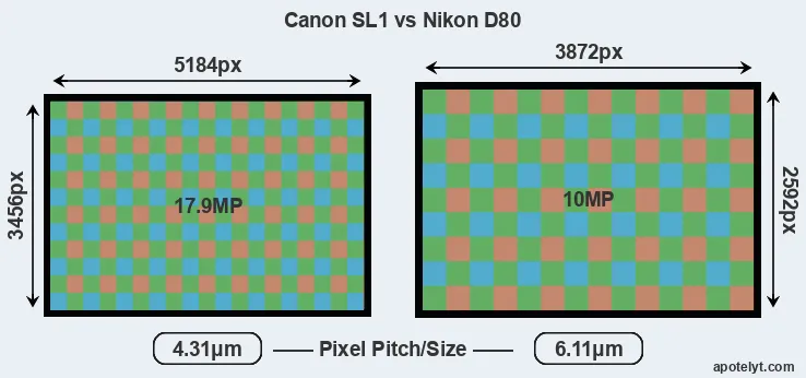 SL1 versus D80 MP