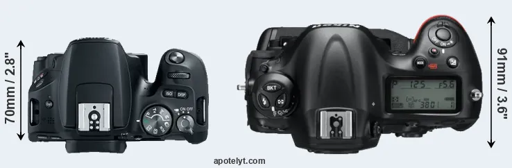 Compare SL2 versus D4 top