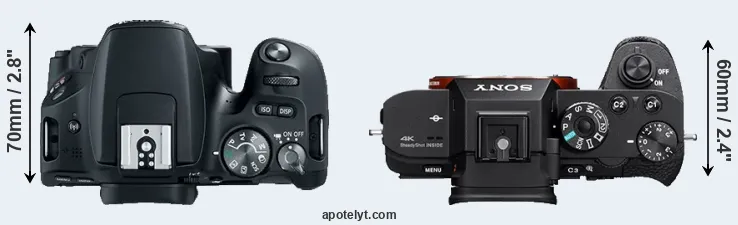 Compare SL2 versus A7S II top