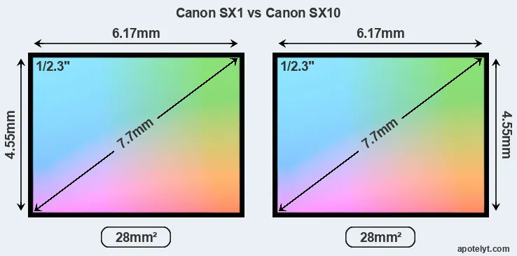 Canon SX1 and Canon SX10 sensor measures