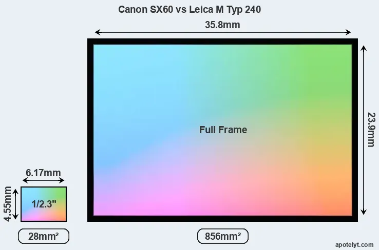 Canon SX60 and Leica M Typ 240 sensor measures