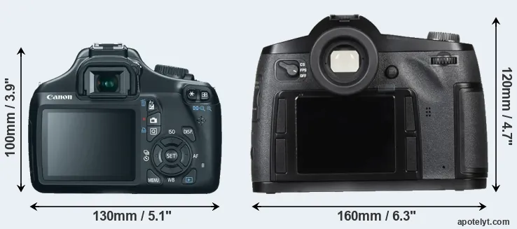 Comparison T3 or S Typ 007 rear