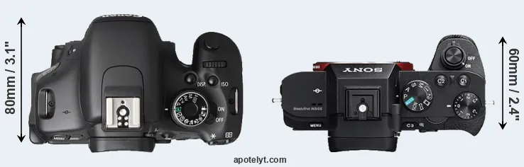 Compare T3i versus A7R II top
