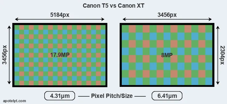 T5 versus XT MP