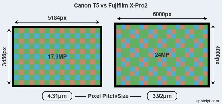 T5 versus X-Pro2 MP